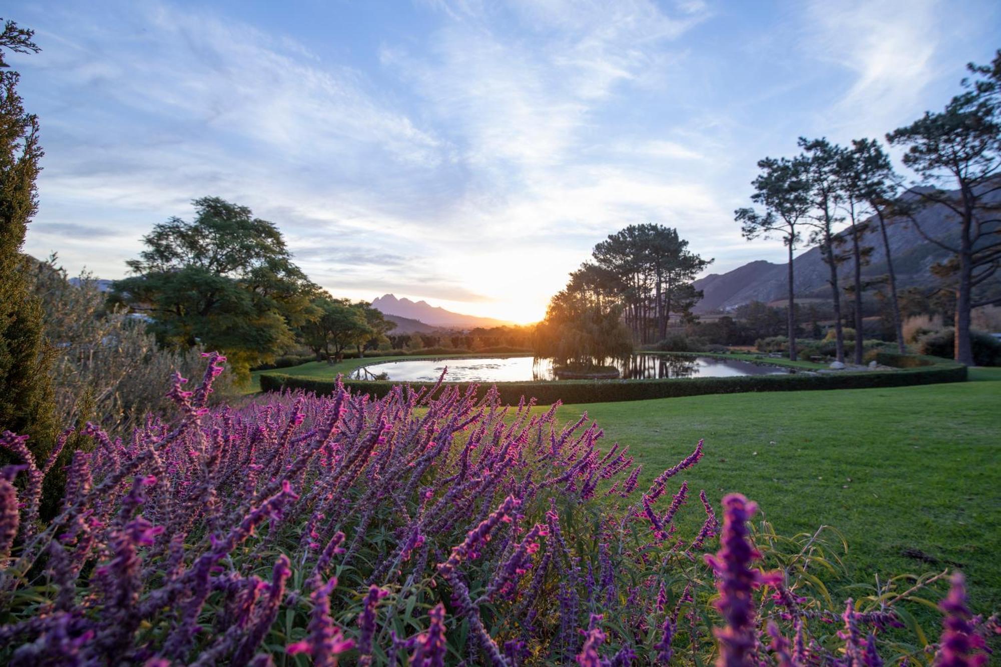 La Residence Franschhoek Bagian luar foto
